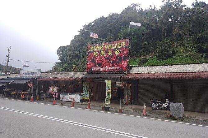 Cameron Highlands Day Trip - Big Red Strawberry: a farm stop that’s fun even for non-farm people