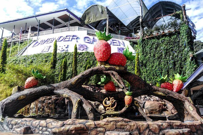 Cameron Highlands Day Trip From Kuala Lumpur - A private AC ride out of Kuala Lumpur: comfort, timing, and why it matters