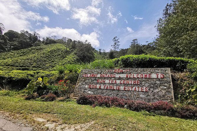 Cameron Highlands Full-Day Nature Tour - Cameron Highlands, a Full-Day Reset from Kuala Lumpur