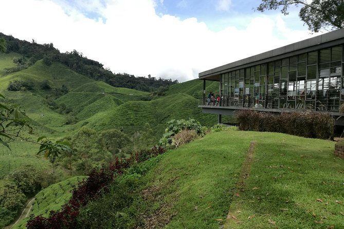 Cameron Highlands, Garden of Nature Full Day Private Guided Tour - Tea plantations, strawberries, and the highland markets you’ll remember
