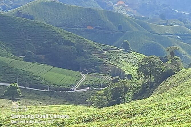 Cameron Highlands Private Day Tour from Ipoh, Package B - A Cameron Highlands Day Plan That Doesn’t Waste Your Time