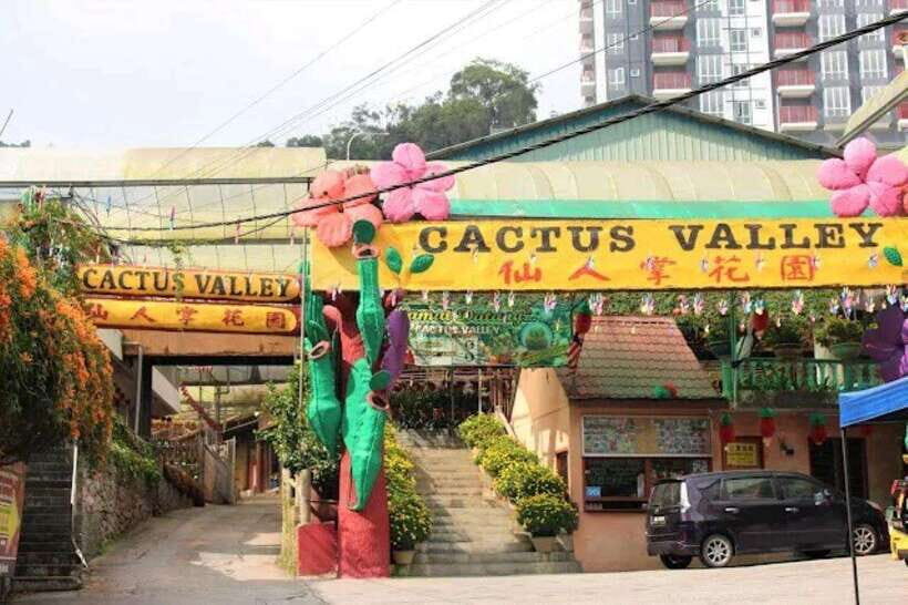 Cameron Highlands Private Day Trip - Price and Logistics: Is $140 Per Person Good Value?