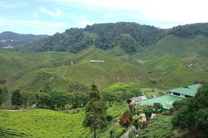 Cameron Highlands Sightseing Tour - Key points before you go