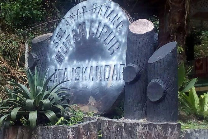 Cameron Highlands Sightseing Tour - A half-day Cameron Highlands plan that actually saves you time