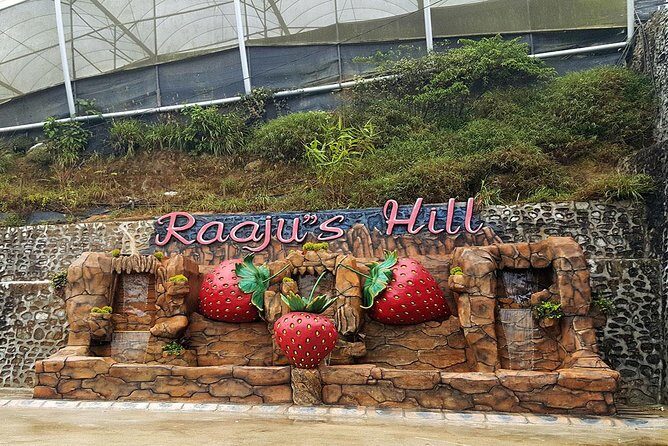 Cameron Highlands Tour From Kuala Lumpur (Private Tour) - Private Cameron Highlands from Kuala Lumpur: how the long drive works