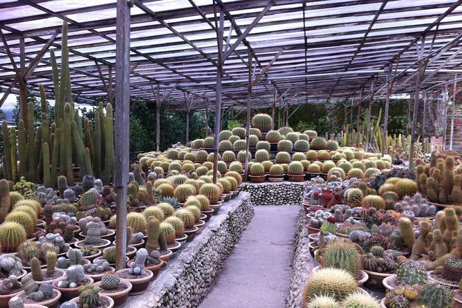 Cameron Highlands Tour From Kuala Lumpur (Private Tour) - Bee farms, honey museums, and what to expect at each one