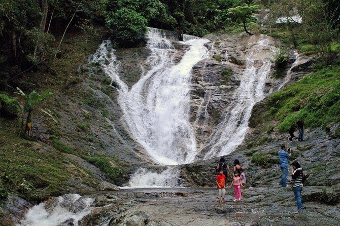 Cameron Highlands Tour on Private Basis - Indigenous Village Visit and the Blowpipe Demonstration