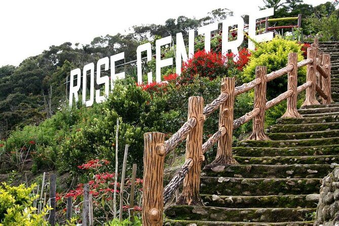 Cameron Highlands Tour on Private Basis - Lunch and Fruit: What to Expect When Food Is Part of the Plan