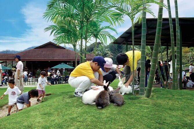 Colmar Tropicale and Batu Caves Day Trip (SIC - Join In Tour) - What the $36 price really covers (and what you’ll still pay)