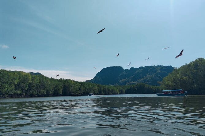 Combo Langkawi Cable Car & Sky Bridge With Mangrove Private Boat - Sky Bridge at Gunung Mat Cincang: 125 m high-walk reality check