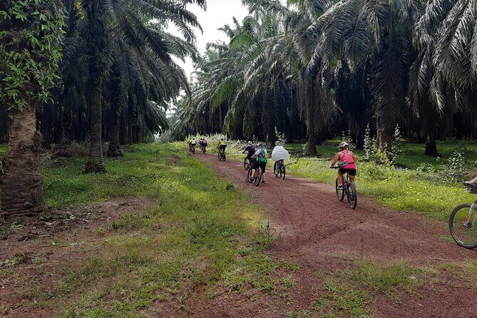Countryside Cycling Tour. T1.0 by Matahari - Key highlights you should know