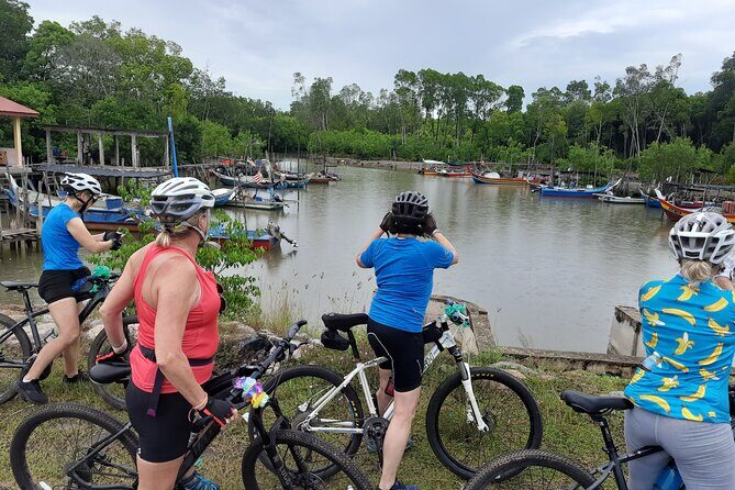 Countryside Cycling Tour. T1.0 by Matahari - Price and What You’re Really Paying For (CA$138.34)