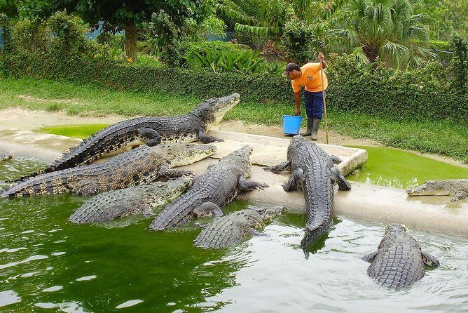 Customize Langkawi Full Day Tour (8 hrs-Private Tour) - Eagle Square and Kuah Duty-Free: Landmark Photos Plus Real Shopping
