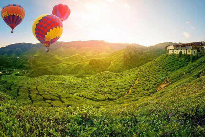 Day Trip to Cameron Highlands: Nature Escape from Kuala Lumpur - The road day: expect around 7 hours behind the wheel