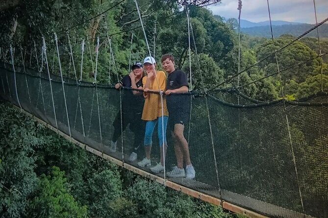 Day Trip to Kinabalu Park and Poring Hot Spring Guided Tour - Key things to know before you go
