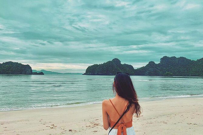 Discover Langkawi Like a local Include Mangrove Tours - Private A/C pickup that actually helps your day run smoothly