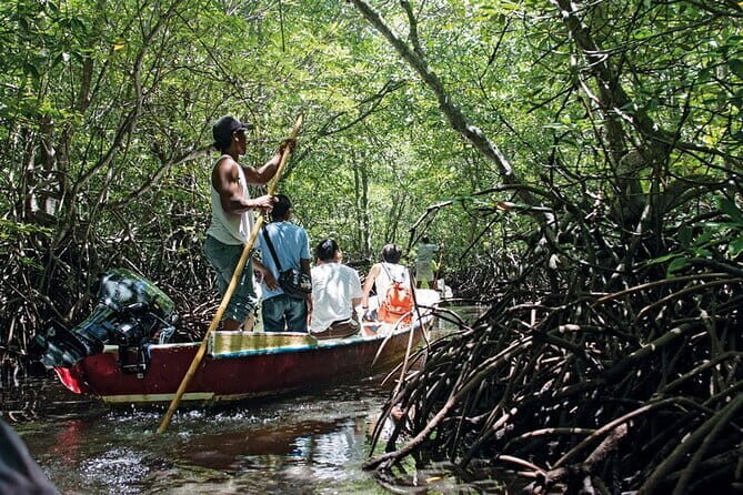 Discover Mangrove Forest and Cave Tour in Langkawi (Shared Tour) - Cave of Bats: what you’re walking into and how to handle it