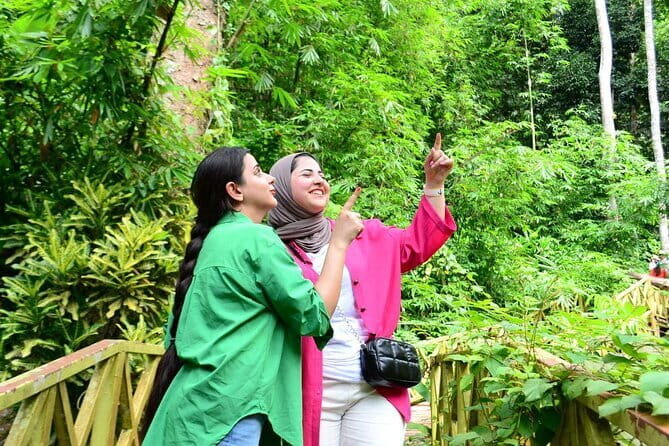 Exclusive Langkawi: Your Private Island Adventure Awaits - Mangrove Tour Langkawi: slow water, living roots