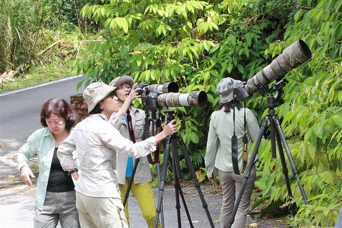 Fraser's Hill Bird-Watching & Nature Sightseeing Tour from Kuala Lumpur - Getting there from Kuala Lumpur without the headache