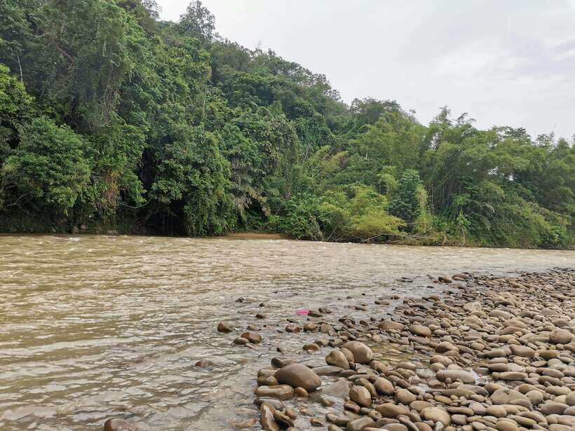 From Kota Kinabalu : Kiulu White Water Rafting Tour + meal - Price and Value: What You’re Getting for About $71