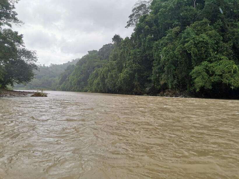 From Kota Kinabalu : Kiulu White Water Rafting Tour + meal - How Fit Do You Need to Be? Paddling Effort and Water-Level Surprises