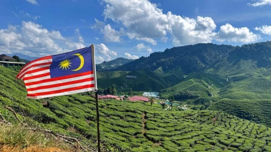 From Kuala Lumpur: Cameron Highlands Day Tour with Lunch - Agro Market + Floral Park + Mini Cameron Santorini: The Fun-Size Highlands Theme Park