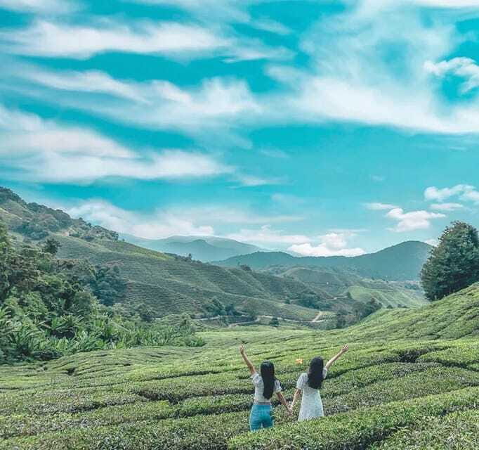 From Kuala Lumpur: Cameron Highlands Day Trip with Transfers - Cameron Highlands in One Day: What the 12-Hour Transfer Really Covers