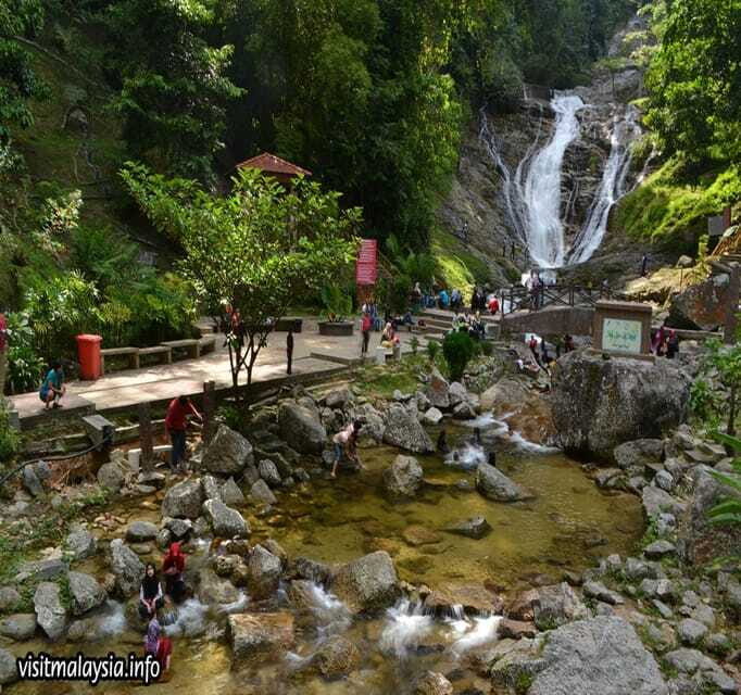 From Kuala Lumpur: Cameron Highlands Day Trip with Transfers - Butterfly Park and Honey Bee Farm: Enjoying Nature Without the Chaos
