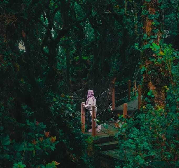 From Kuala Lumpur: Cameron Highlands Day Trip with Transfers - Price and Value: Is $118 a Fair Deal for This Loop?