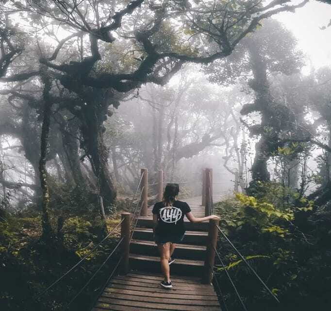 From Kuala Lumpur: Cameron Highlands Day Trip with Transfers - A Few Practical Tips for the Best Day