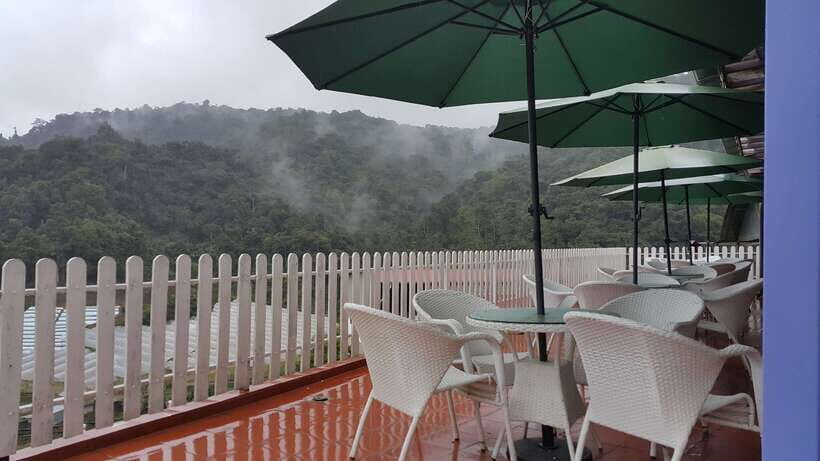 From Kuala Lumpur: Cameron Highlands Full-Day Tour - The Aboriginal Village (Orang Asli) visit: culture when it’s available