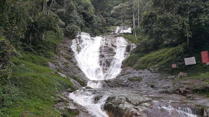 From Kuala Lumpur: Cameron Highlands Full-Day Tour - Bharat Tea Farm: the tea-making process you can actually see