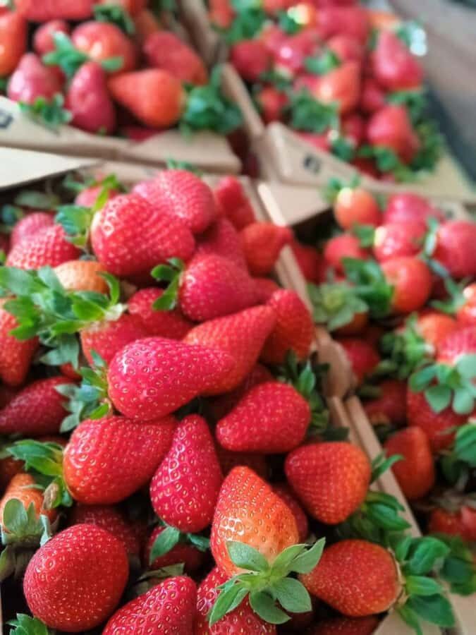 From Kuala Lumpur: Cameron Highlands Private or Join In Tour - A 12-hour Cameron Highlands reset from Kuala Lumpur
