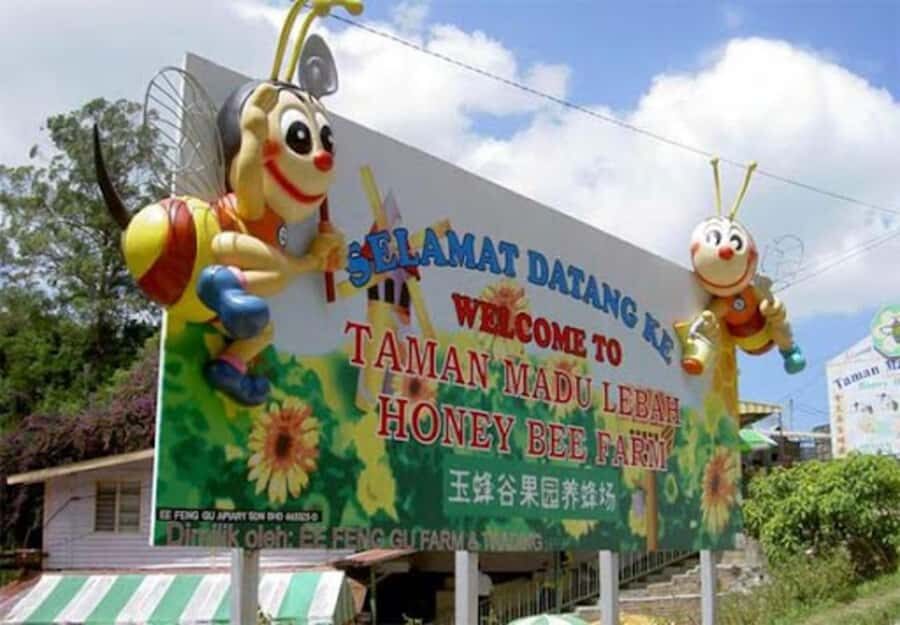 From Kuala Lumpur: Cameron Highlands Private or Join In Tour - Flora Park: the ticketed 1-hour photo hour