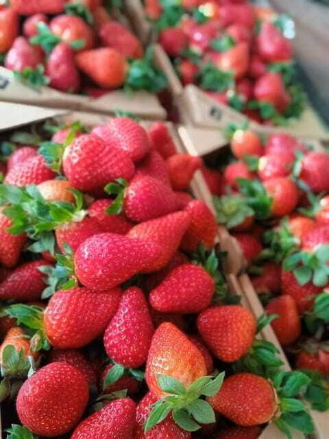 From Kuala Lumpur: Cameron Highlands Private or Join In Tour - Raju’s Hill Strawberry Farm: the hands-on moment, with extra charges