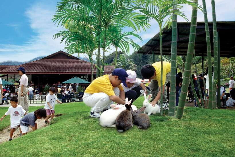 From Kuala Lumpur: Colmar Tropicale and Batu Caves Day Trip - A 10-hour escape from Kuala Lumpur: Bukit Tinggi and Batu Caves