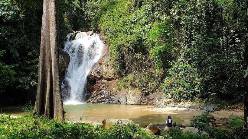 From Kuala Lumpur: Elephant Sanctuary Guided Tour - Key Highlights Worth Booking For