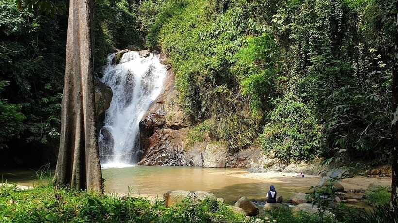 From Kuala Lumpur: Elephant Sanctuary Guided Tour - Pahang Waterfalls: The 1.5-Hour Swimming and Shower Window