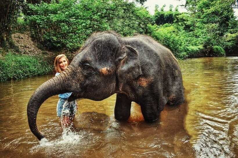 From Kuala Lumpur: Elephant Sanctuary Guided Tour - Lunch on the Route Back: An Actual Meal, Not a Snack