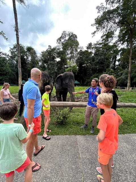 From Kuala Lumpur: Elephant Sanctuary Guided Tour - What Makes This Tour Feel Special (Beyond the Checklist)
