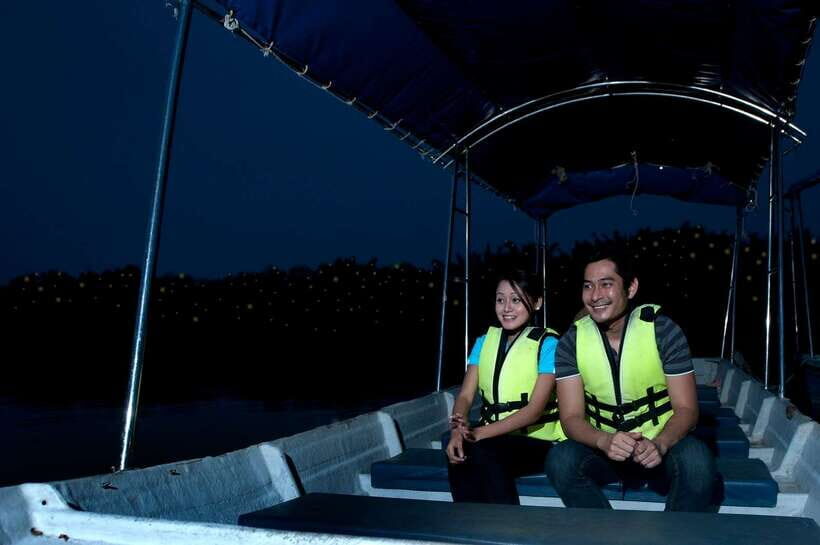 From Kuala Lumpur: Fireflies Tour and Seafood Dinner - Kuala Selangor Fireflies: Why This Night Feels Different