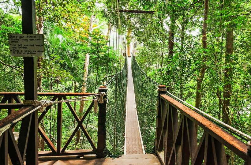 From Kuala Lumpur: Full-Day Taman Negara National Park - Getting to Taman Negara from KL: The 6:00 Pickup Reality