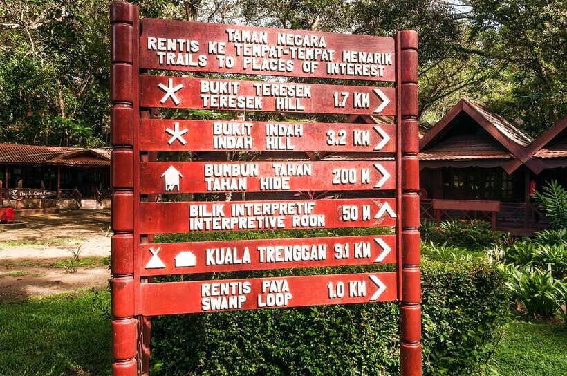 From Kuala Lumpur: Full-Day Taman Negara National Park - Jungle Activities That Feel Real: Blowpipe, Rapid Shooting, and Hunting Skills