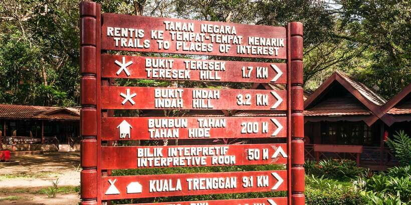 From Kuala Lumpur: Full-Day Taman Negara National Park - Trekking Pace and Boat Time: Steps, Rest Spots, and River Conditions