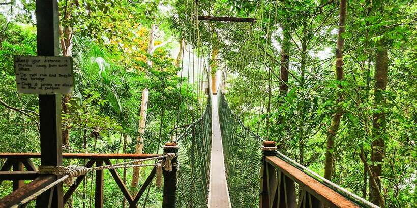 From Kuala Lumpur: Full-Day Taman Negara National Park - Price and Logistics: Is $173 Good Value for One Day?