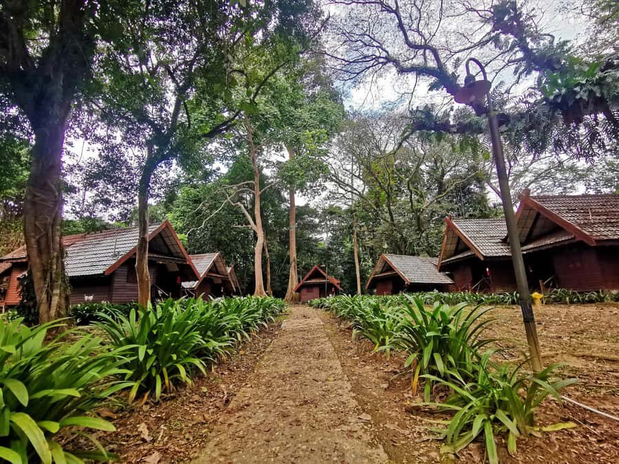 From Kuala Lumpur: Full Day Tour to Taman Negara - Key highlights worth planning around