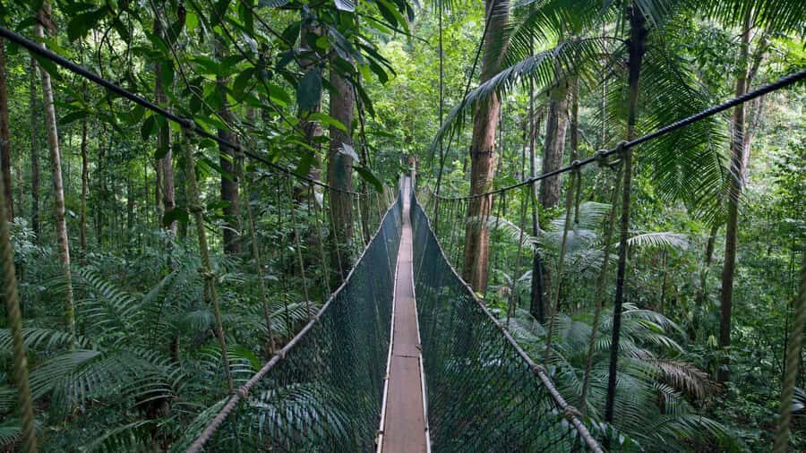 From Kuala Lumpur: Full Day Tour to Taman Negara - From Kuala Lumpur to the Taman Negara start line