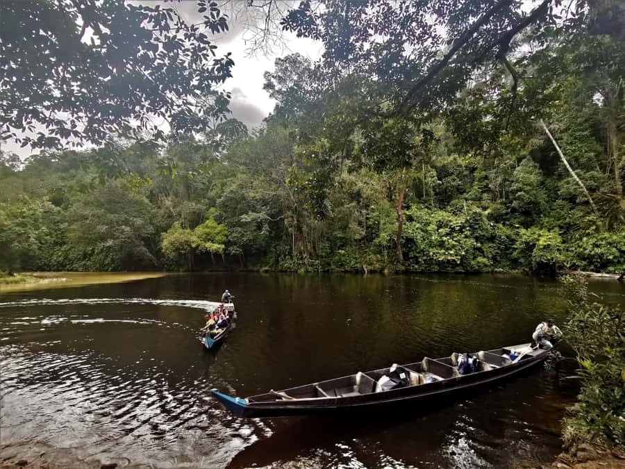 From Kuala Lumpur: Full Day Tour to Taman Negara - Price and value: does $185 make sense for this mix?