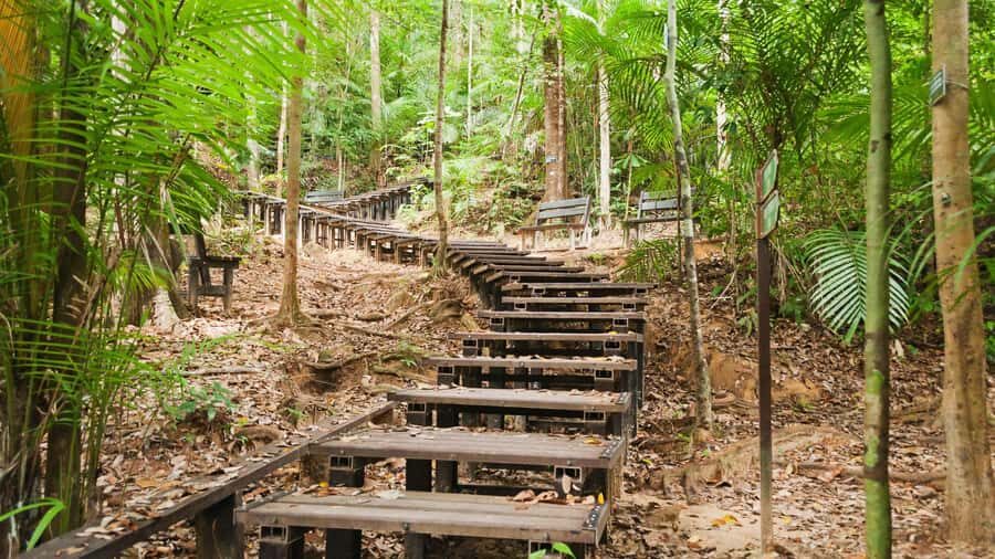 From Kuala Lumpur: Full Day Tour to Taman Negara - Logistics that can make or break your comfort
