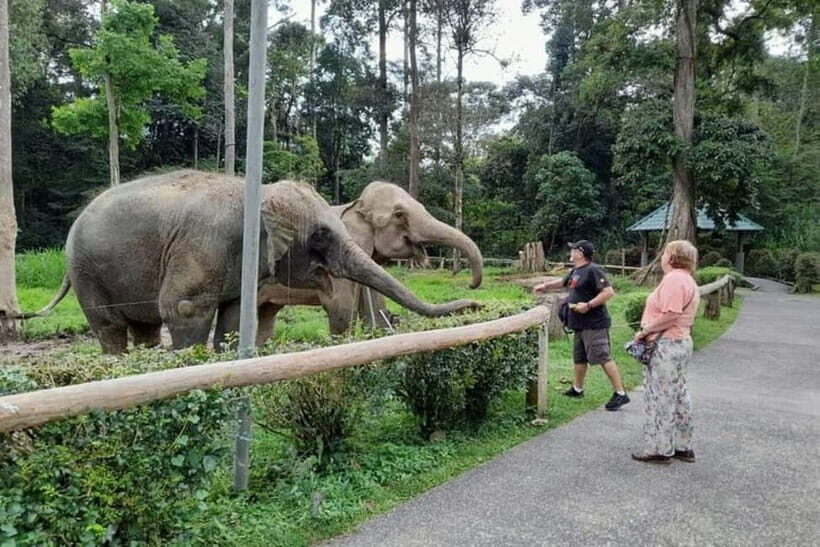 From Kuala Lumpur: Kuala Gandah & Batu Caves Day Trip - Close encounters without bathing: what to expect realistically